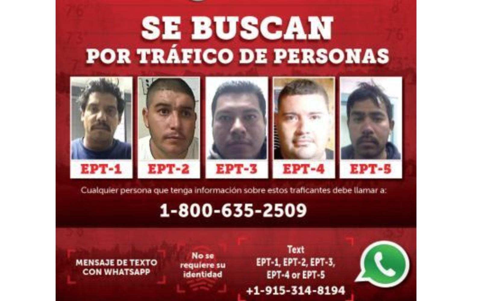 El Paso Human Traffickers Targeted by Border Patrol (Contributed/CBP)