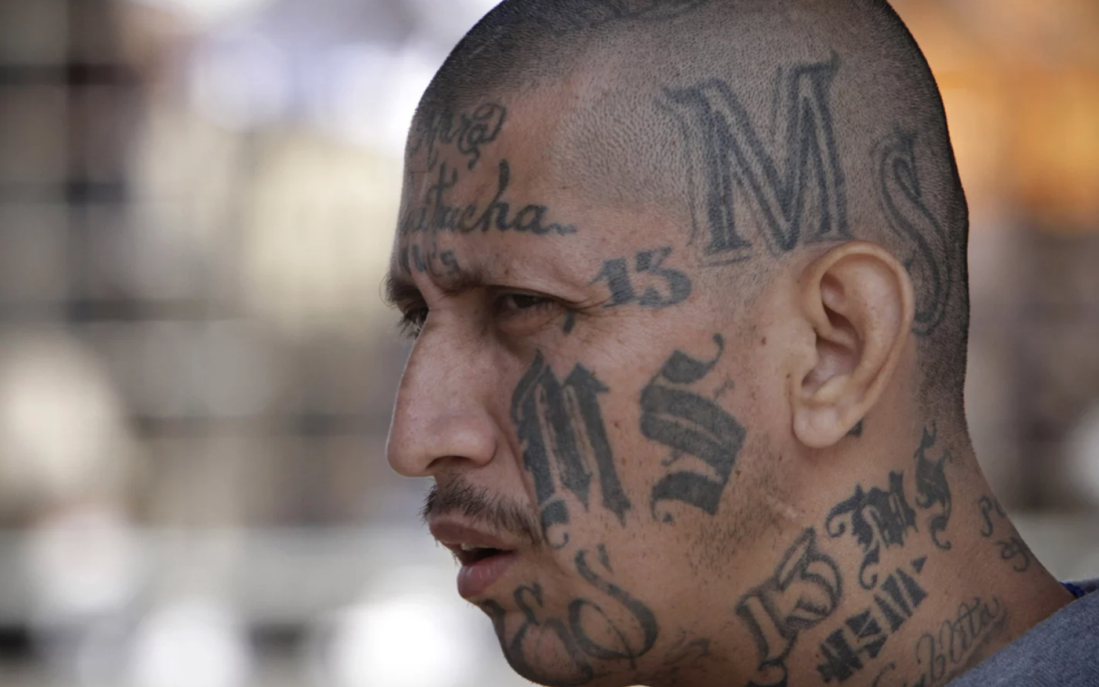 MS-13 Gang Member in Prison (Contributed/NPR)
