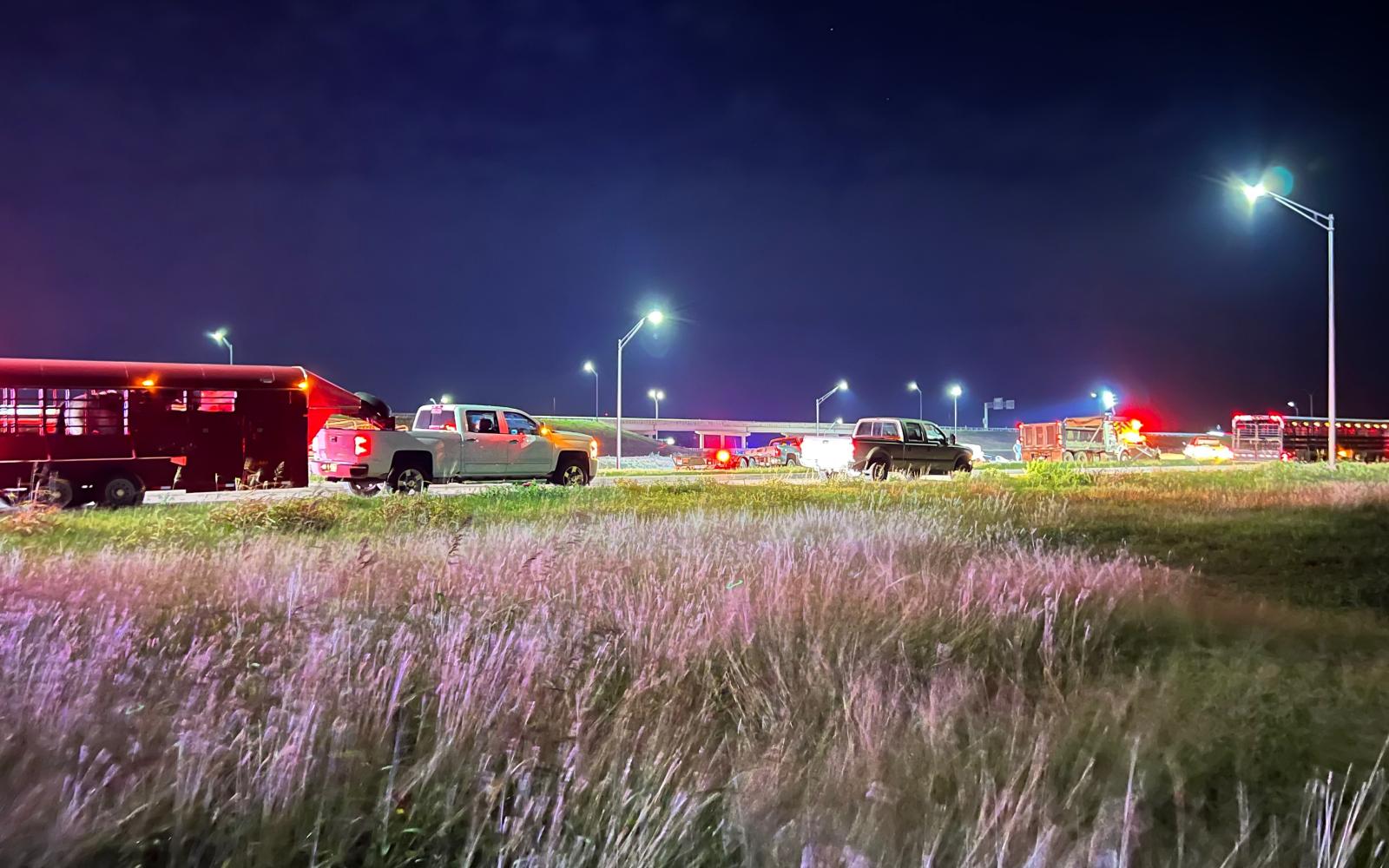 Mass Cattle Casualty Crash Closes Loop 306 on Nov. 3, 2022