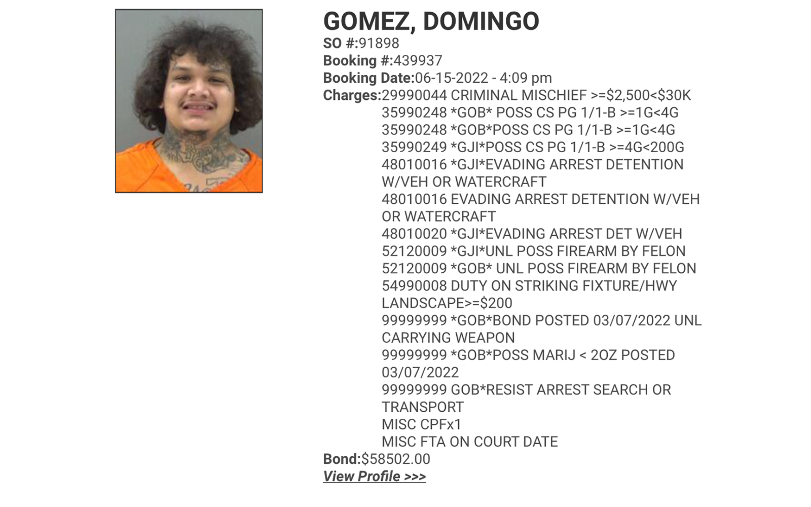 Domingo Gomez's Charges