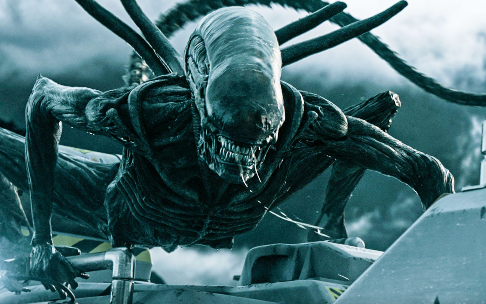 Alien Adult from the Movie: Not an Actual Invasive Species (Courtesy/Hollywood Reporter)