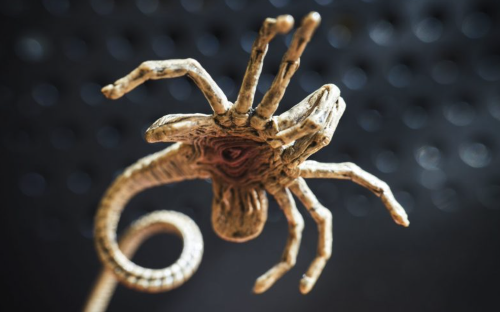 Alien Xenomorph from Movie:  Not Actual Invasive Species (Courtesy/Threatpost)