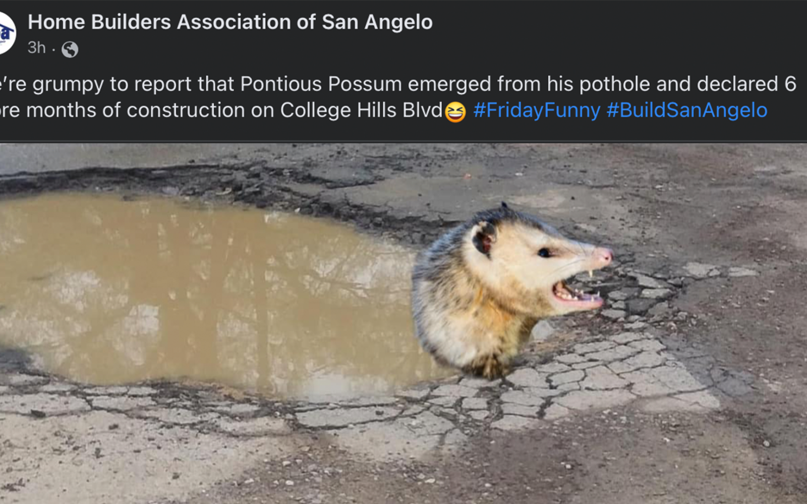 Pontious Possum of College Hills