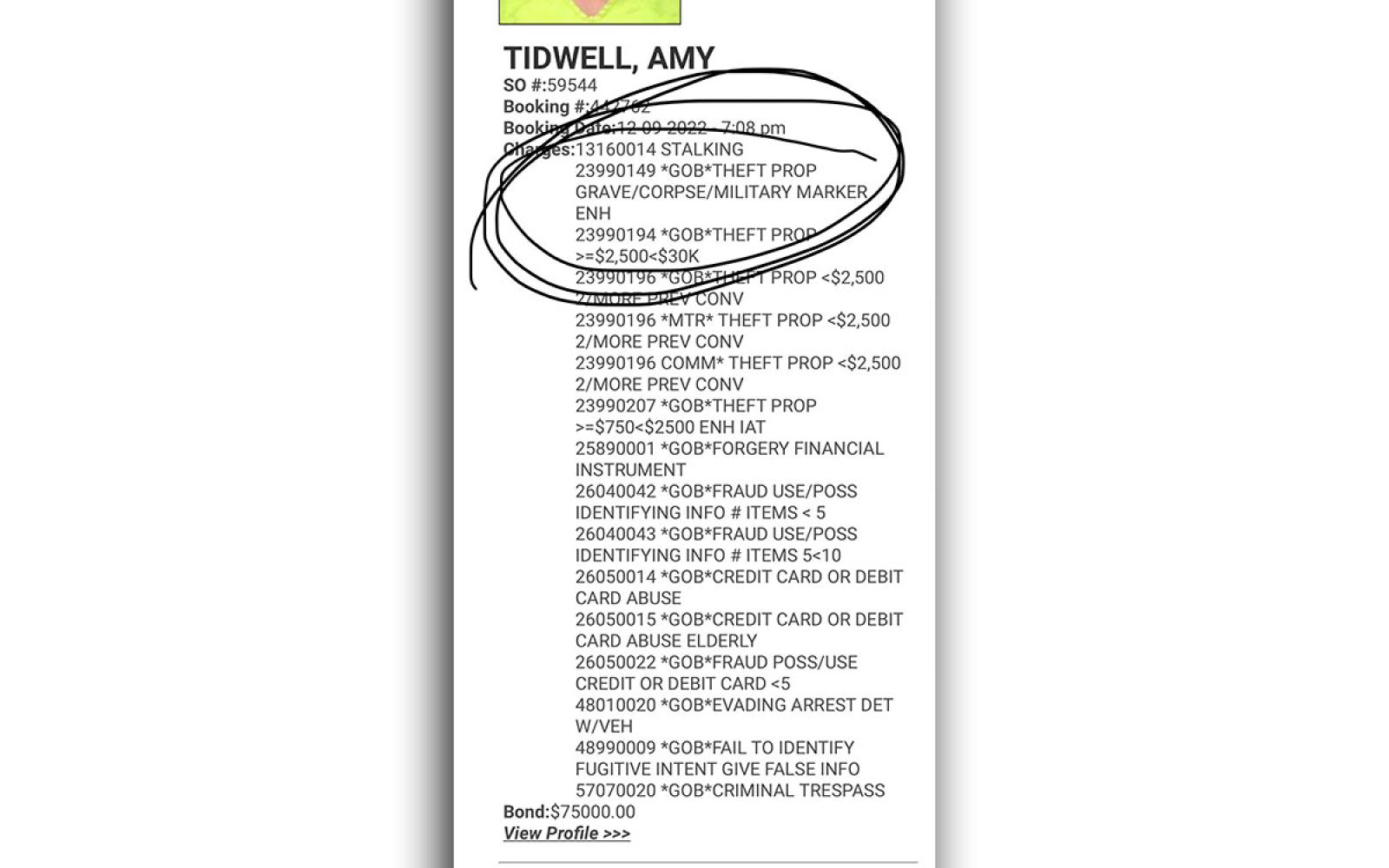 The original charges against Amy Tidwell on the day we reported her plea.