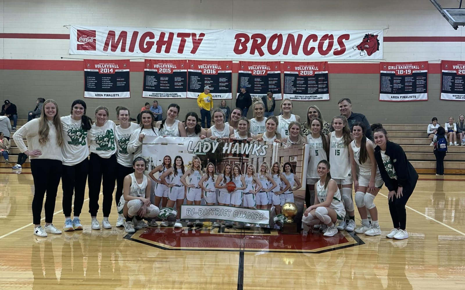 Wall Lady Hawks Bi-District Champions