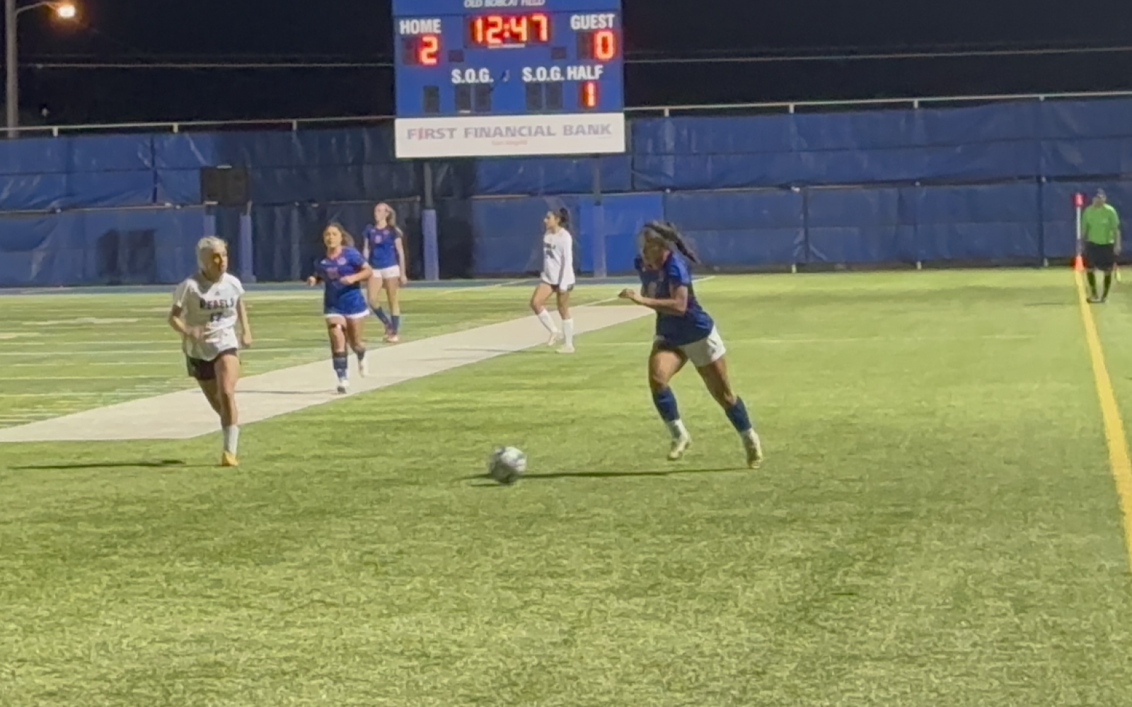 Lady Cats on the Attack