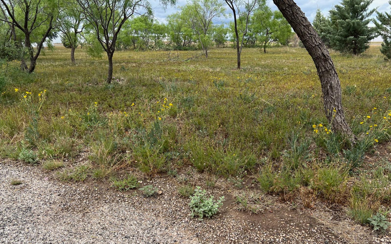 County Says Man’s Half Acre Lot (pictured here) is Valued at $111 Million