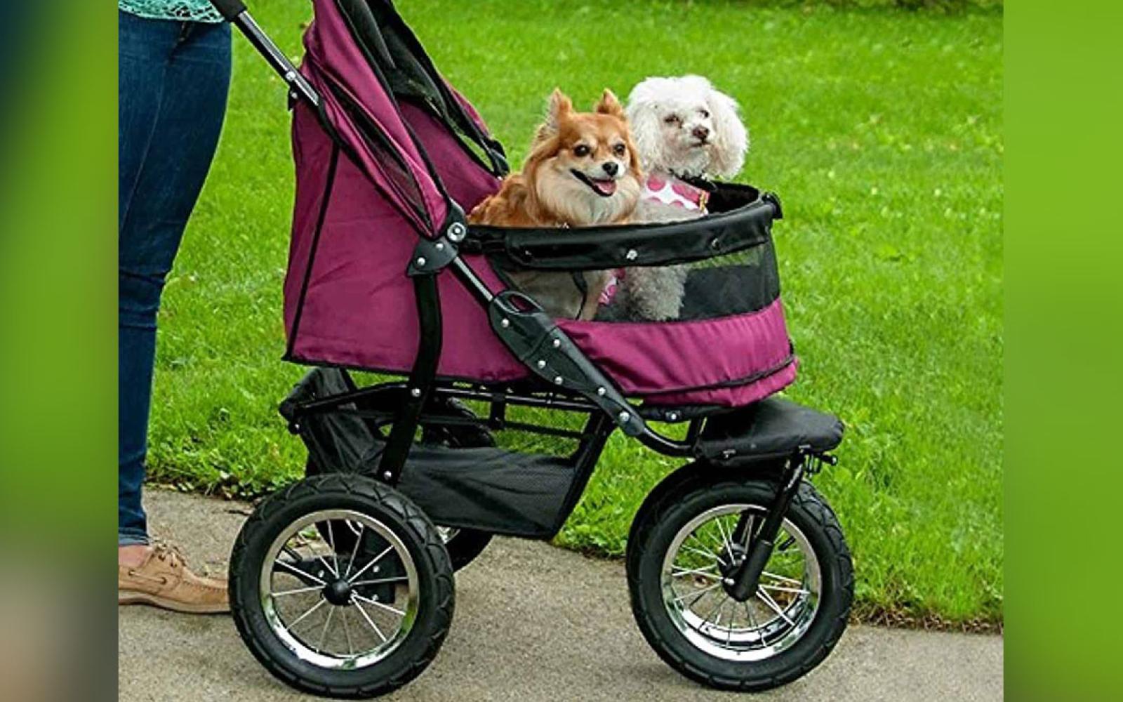 It may come as a shock that there are people who take their dogs to spas, tote them around in strollers and baby carriers, and refer to them as their children.