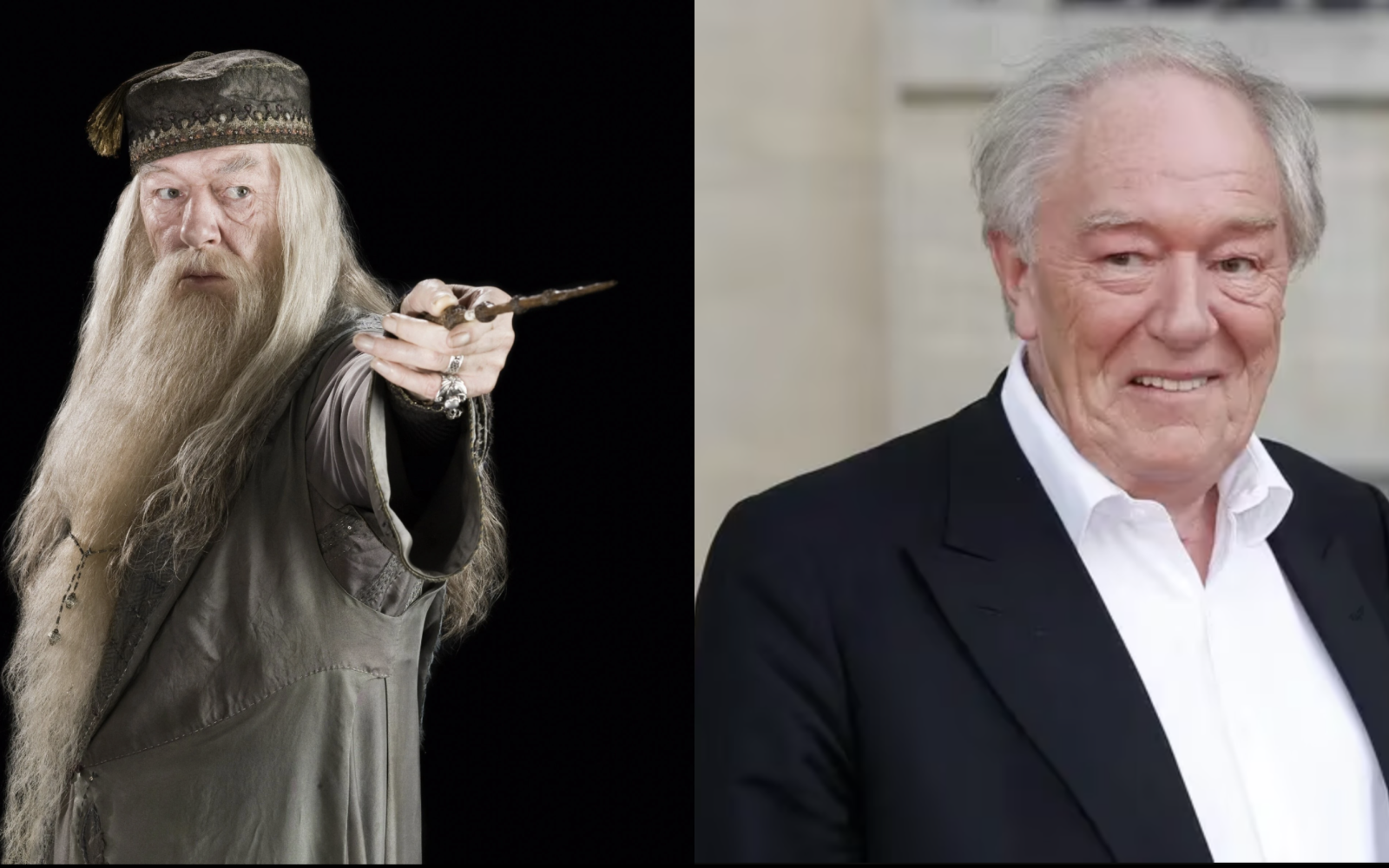 Michael Gambon