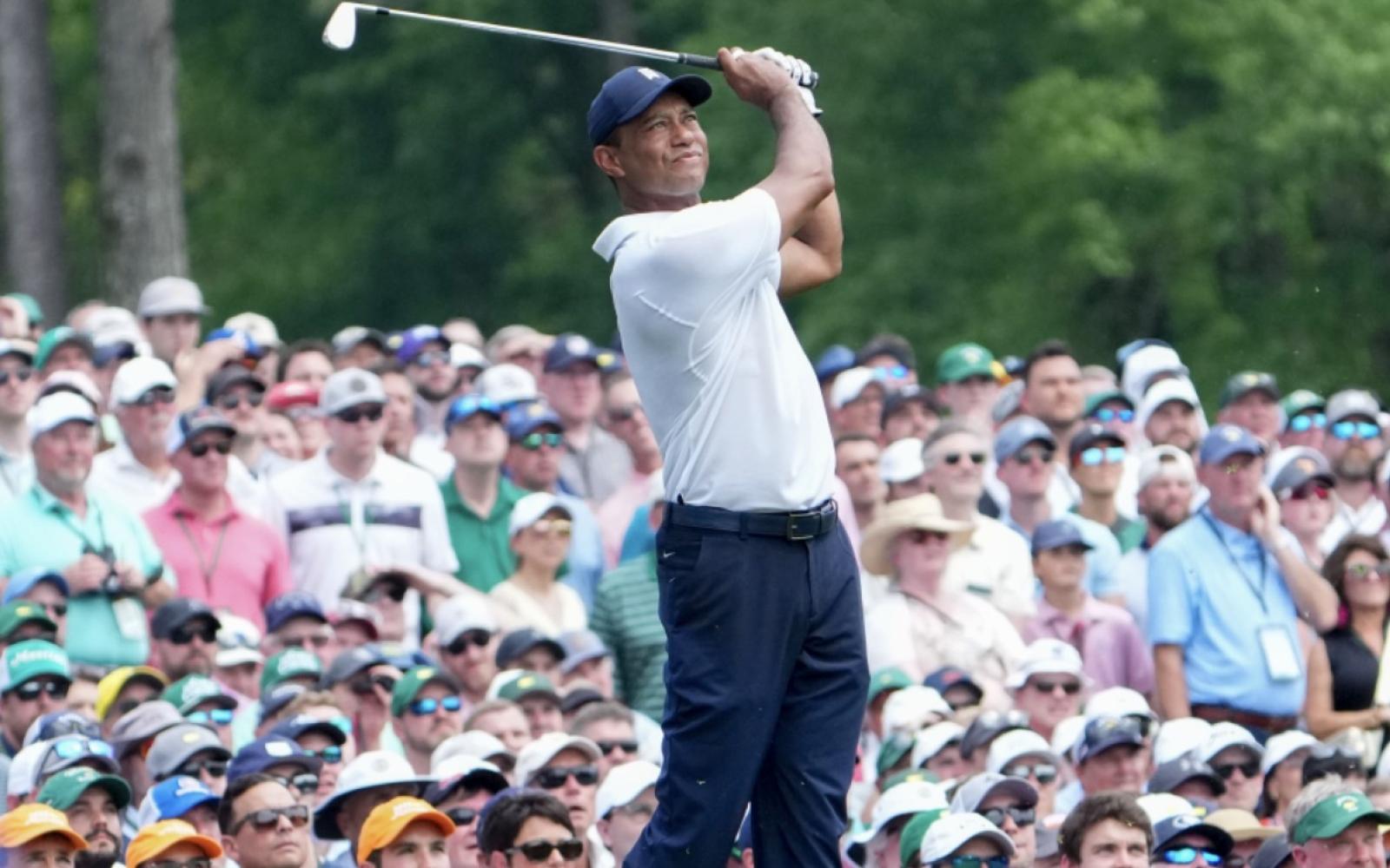 Tiger Golf Swing