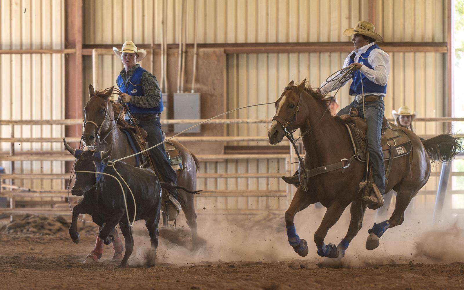 Angelo State Rodeo Team