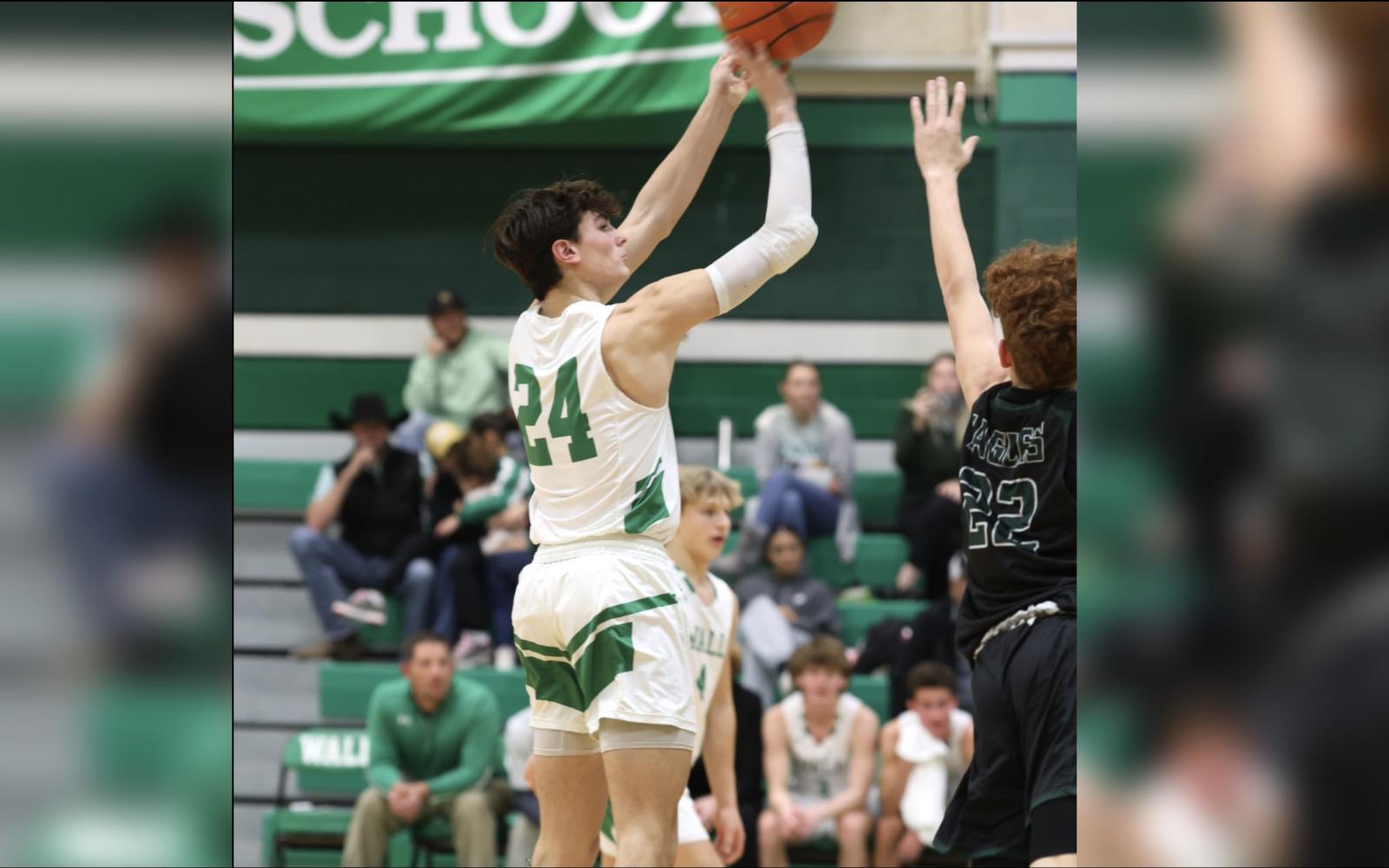 Wall Hawks Augden Hallmark