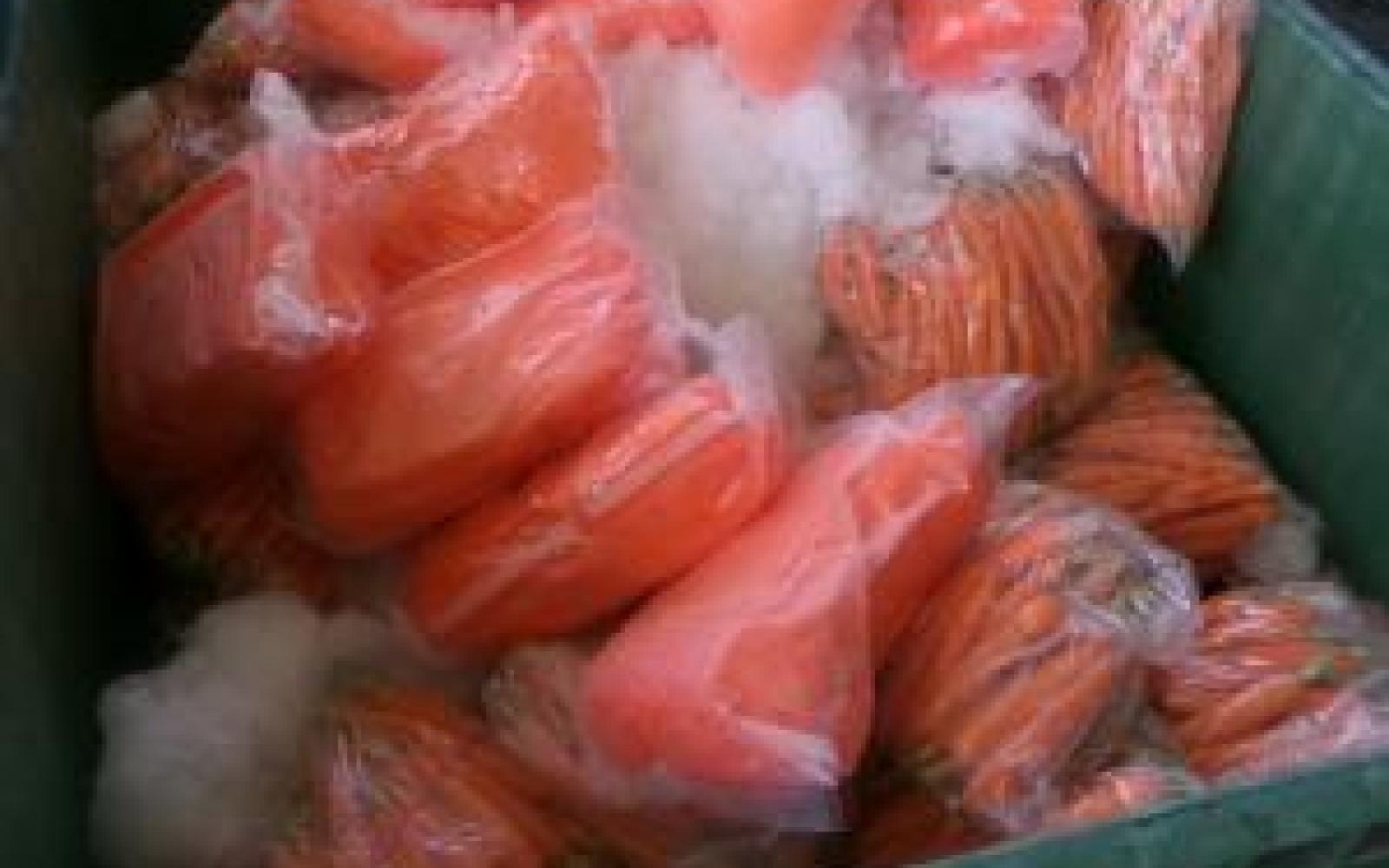 Mexican Drug Cartel Meth in Carrots Courtesy CBP