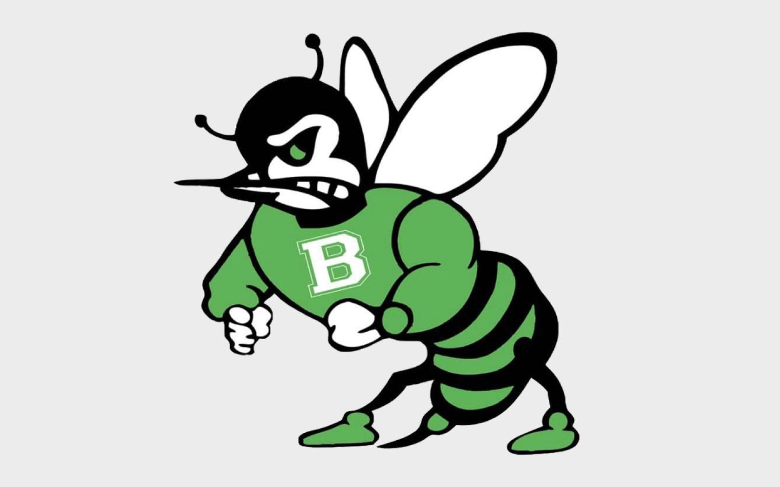 Blackwell Hornets logo