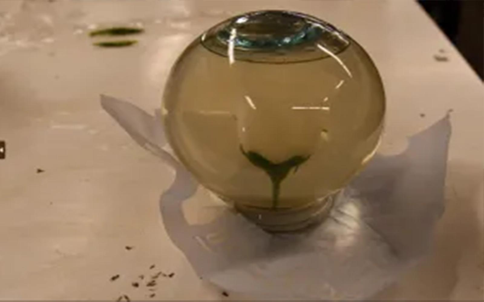 CBP Officers Seize Over $6.5 Million in 'Hard Narcotics' at World Trade Bridge