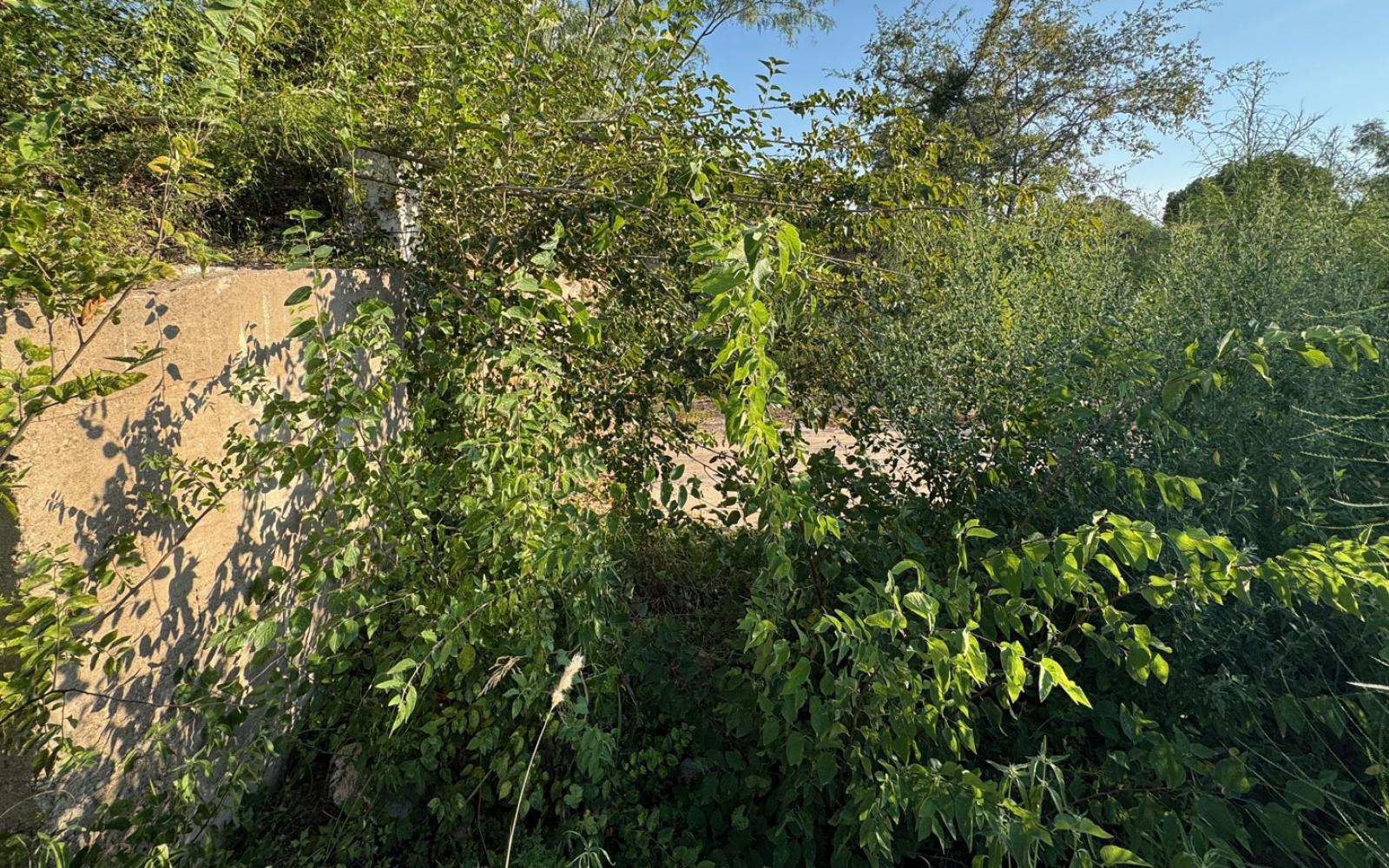More ruins from the former Beaver Lodge Motel at 405 S. Chadbourne St.