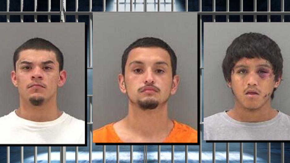 Thomas Gonzales (left) Armando Meza (middle) Martin Cano (right) Thomas Gonzales (left) Armando Meza (middle) Martin Cano (right)