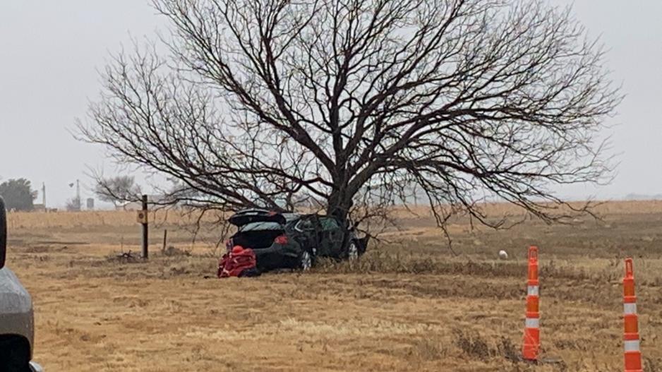 Car Crashes Into Only Tree for Miles (LIVE! Photo/Matt Trammell) Car Crashes Into Only Tree for Miles (LIVE! Photo/Matt Trammell)
