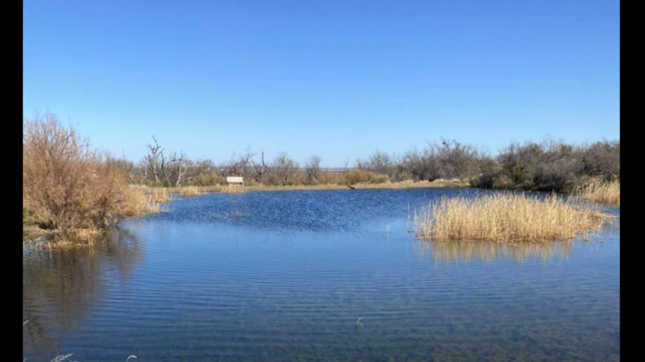 300 Trout Stocked at State Park 300 Trout Stocked at State Park