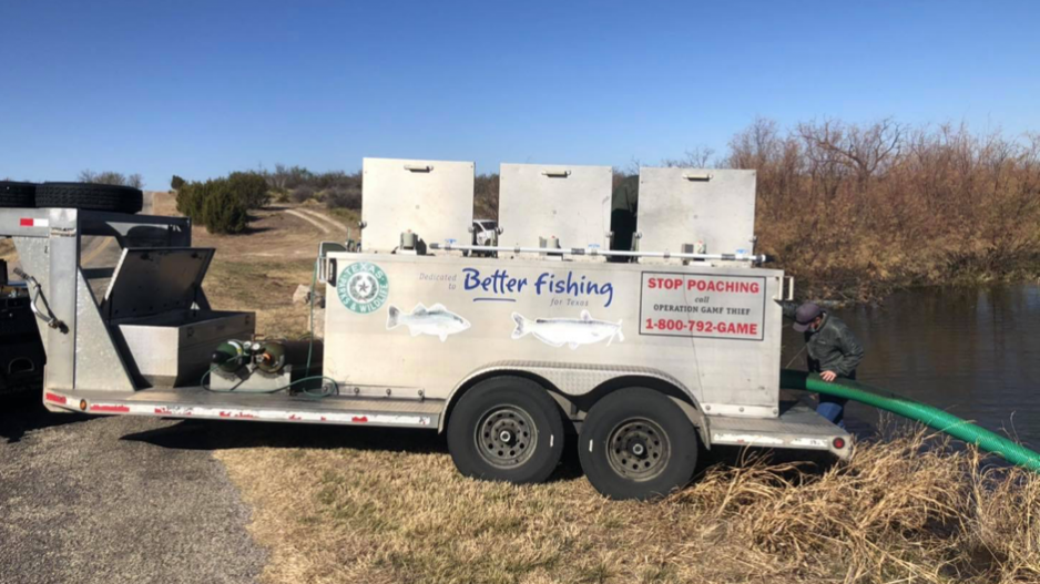 300 Catchable Trout Stocked Into This San Angelo Fishing Hole