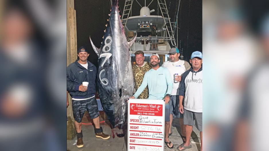 Texas Record Bluefish Tuna 10'1", 876 lbs. Texas Record Bluefish Tuna 10'1", 876 lbs.