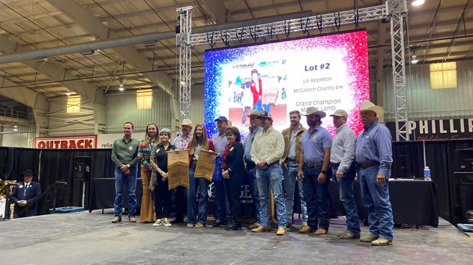 2021 Grand Champion Lamb (LIVE! Photo/Yantis Green) 2021 Grand Champion Lamb (LIVE! Photo/Yantis Green)