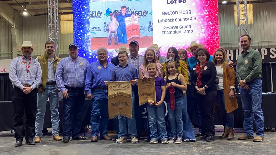 2021 Reserve Grand Champion Lamb (LIVE! Photo/Yantis Green) 2021 Reserve Grand Champion Lamb (LIVE! Photo/Yantis Green)