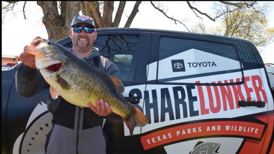 Tanner Spurgin of McKinney, TX 15.27 Sharelunker Bass (Contributed/TPWD) Tanner Spurgin of McKinney, TX 15.27 Sharelunker Bass (Contributed/TPWD)
