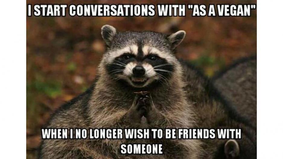 Raccoon Raccoon