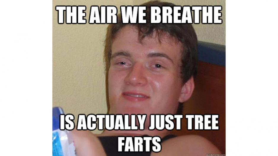 Tree farts Tree farts