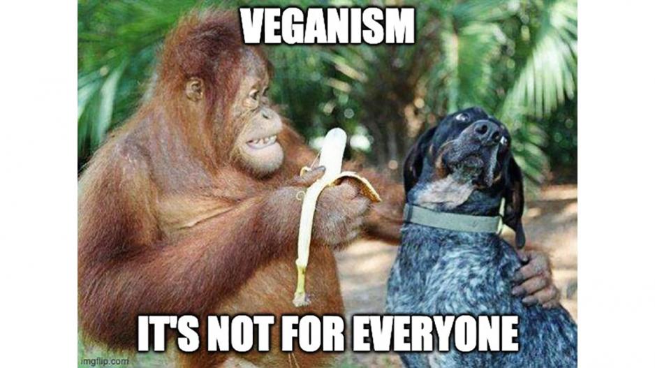 Veganism Veganism