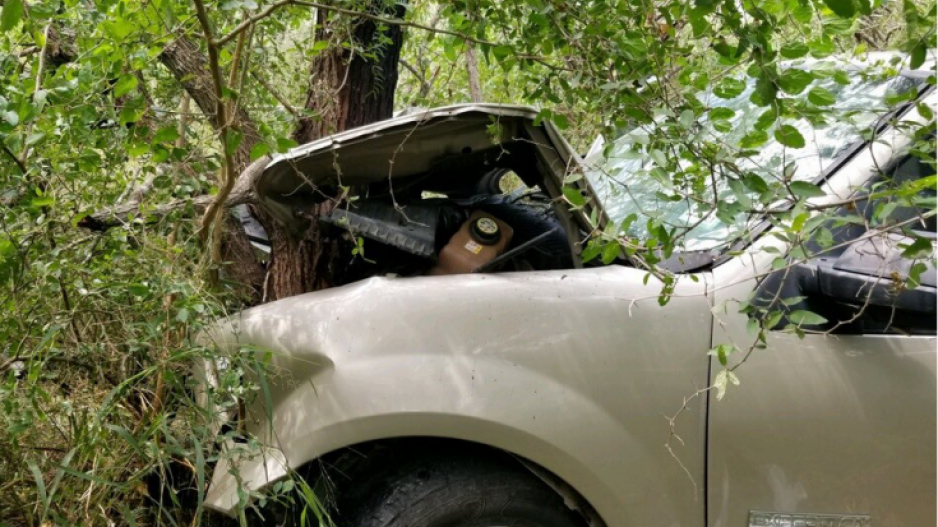Illegal Alien Crashes Vehicle into Tree (Contributed/CBP) Illegal Alien Crashes Vehicle into Tree (Contributed/CBP)
