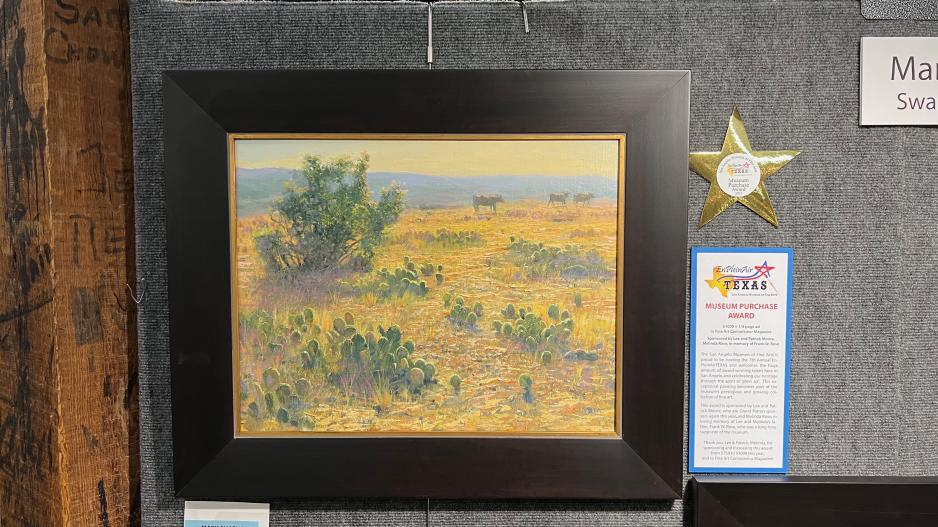 Museum Purchase Award – Mark Shasha Museum Purchase Award – Mark Shasha
