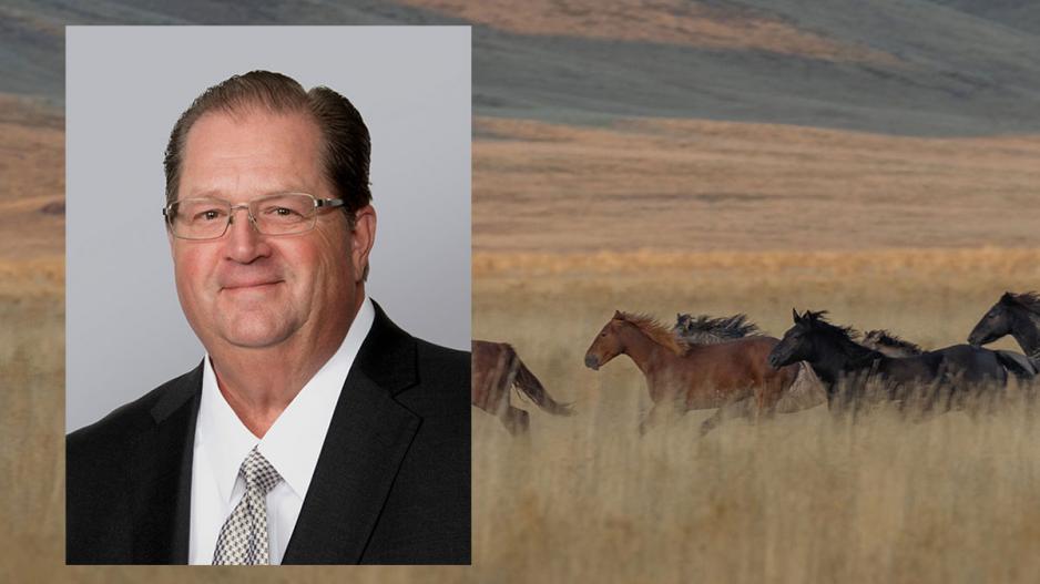 Mark Odle is named Senior Vice President and Branch Manager for the Sonora Bank Sherwood Way branch in San Angelo. Mark Odle is named Senior Vice President and Branch Manager for the Sonora Bank Sherwood Way branch in San Angelo.