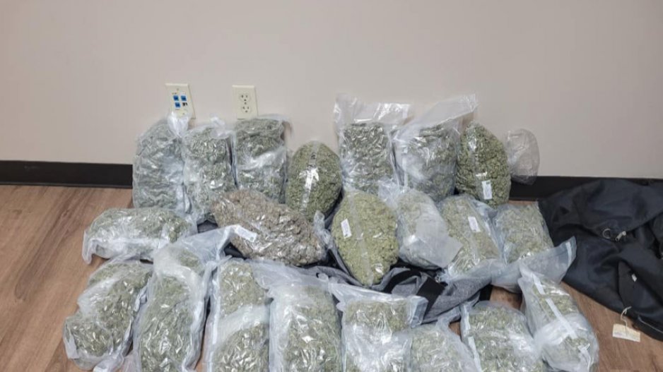 19 Pounds of Marijuana 19 Pounds of Marijuana