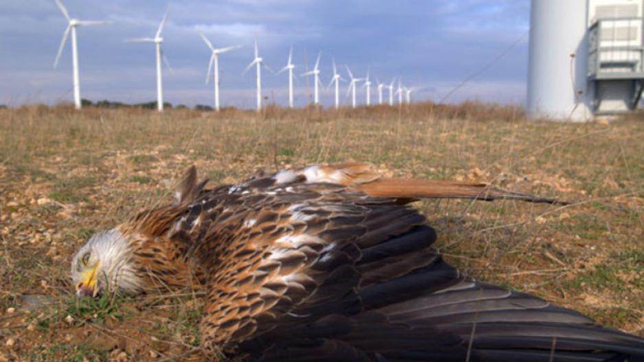 Polluting is bad. That's why we have windmills and dead eagles. Polluting is bad. That's why we have windmills and dead eagles.