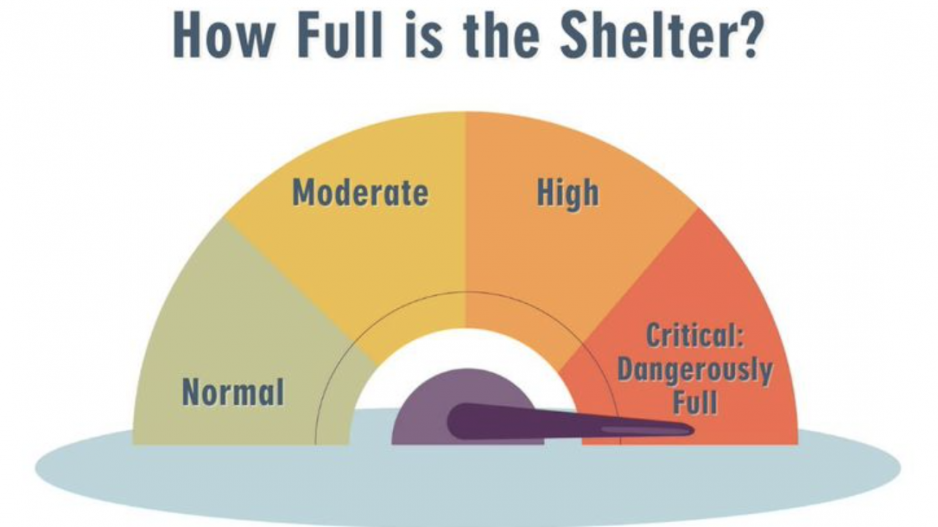 Shelter Full Shelter Full