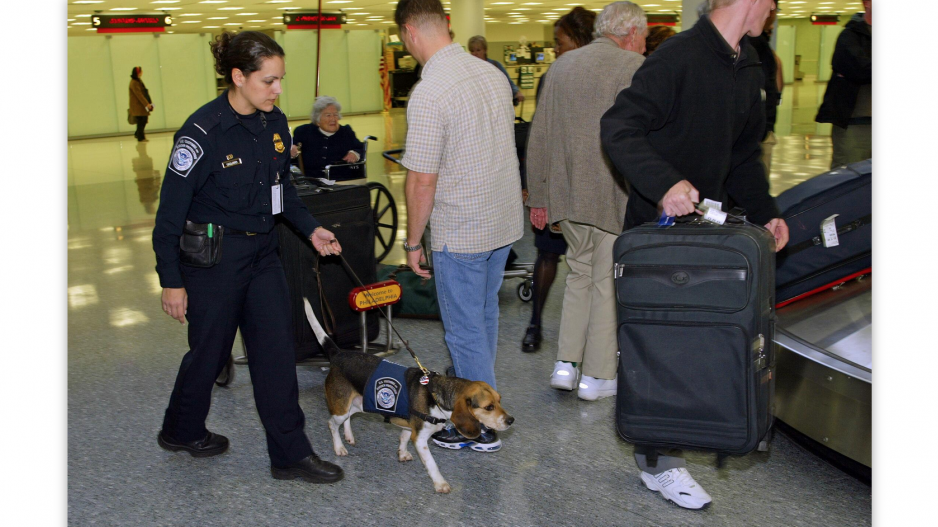 Customs & Border Protection Travel Tips (Contributed/CBP) Customs & Border Protection Travel Tips (Contributed/CBP)