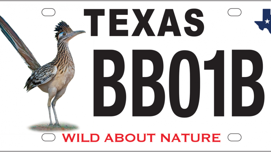Greater Roadrunner Conservation License Plate (Contributed/TPWD) Greater Roadrunner Conservation License Plate (Contributed/TPWD)