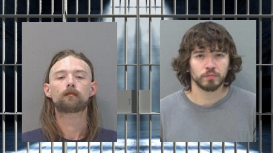 Evading Arrest in a Stolen Vehicle, Resisting Arrest & Weed Possession