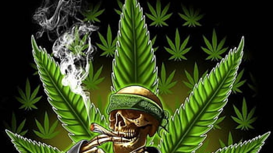 Funky Weed (Courtesy/PxFuel) Funky Weed (Courtesy/PxFuel)