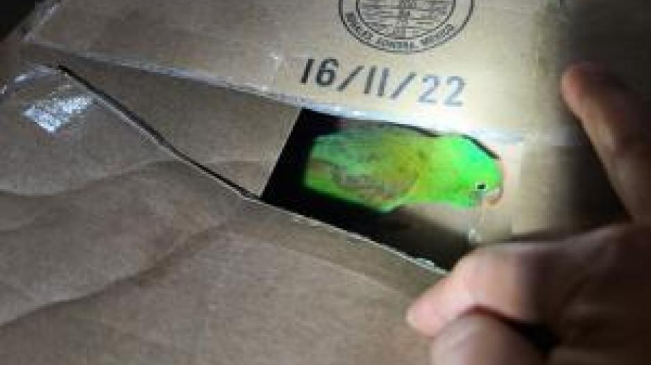 Illegal Parrot Seized by CBP in Eagle Pass (Courtesy/CBP) Illegal Parrot Seized by CBP in Eagle Pass (Courtesy/CBP)