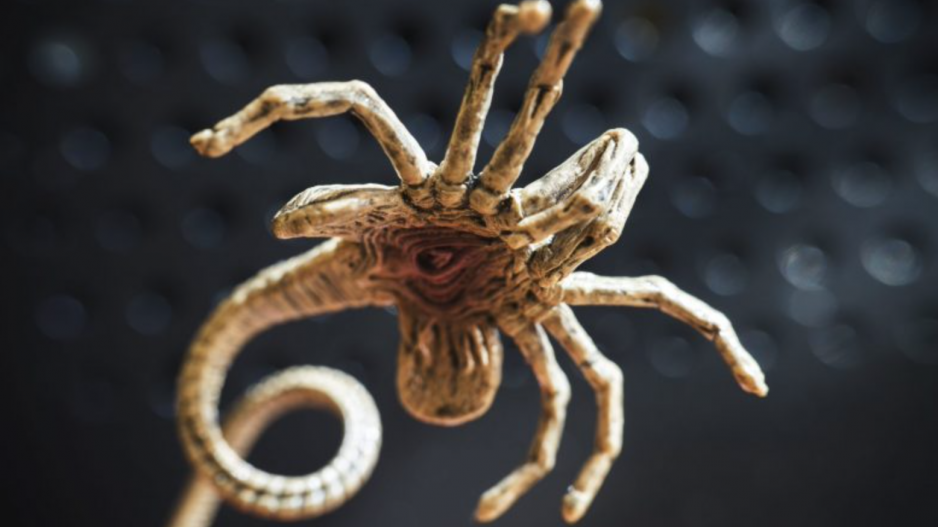 Alien Xenomorph from Movie: Not Actual Invasive Species (Courtesy/Threatpost) Alien Xenomorph from Movie: Not Actual Invasive Species (Courtesy/Threatpost)