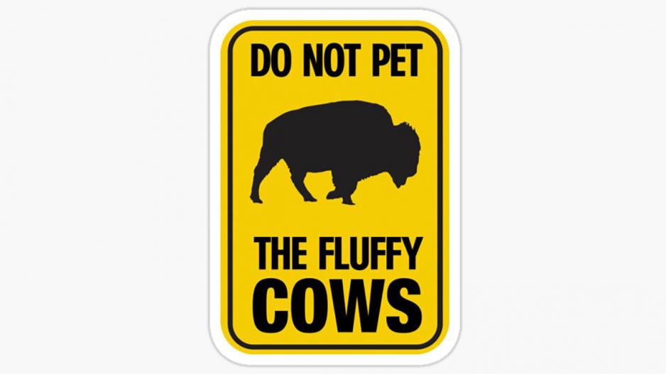 Here's your sign... Here's your sign...