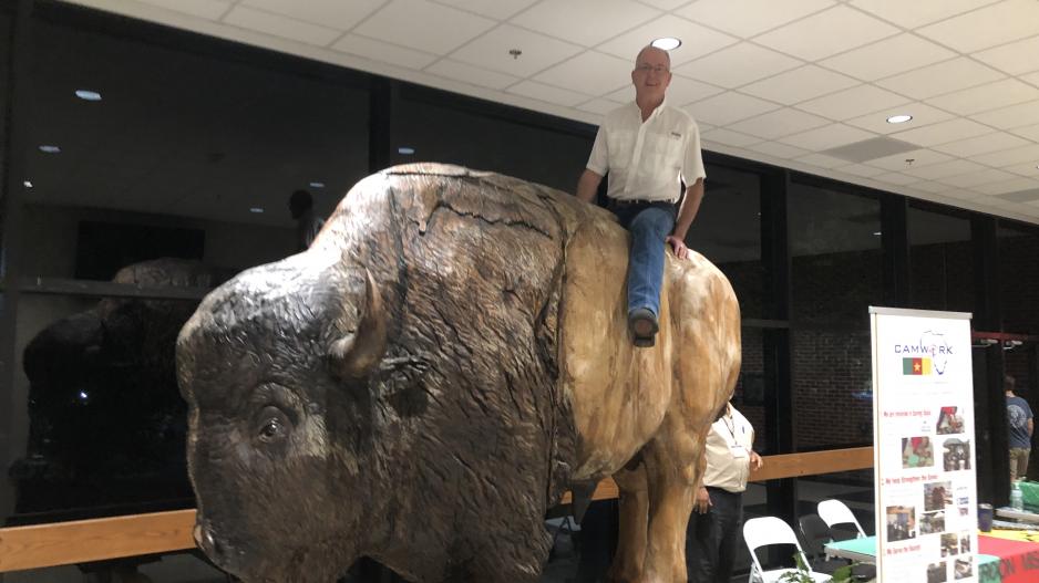 the author atop a giant wooden buffalo the author atop a giant wooden buffalo