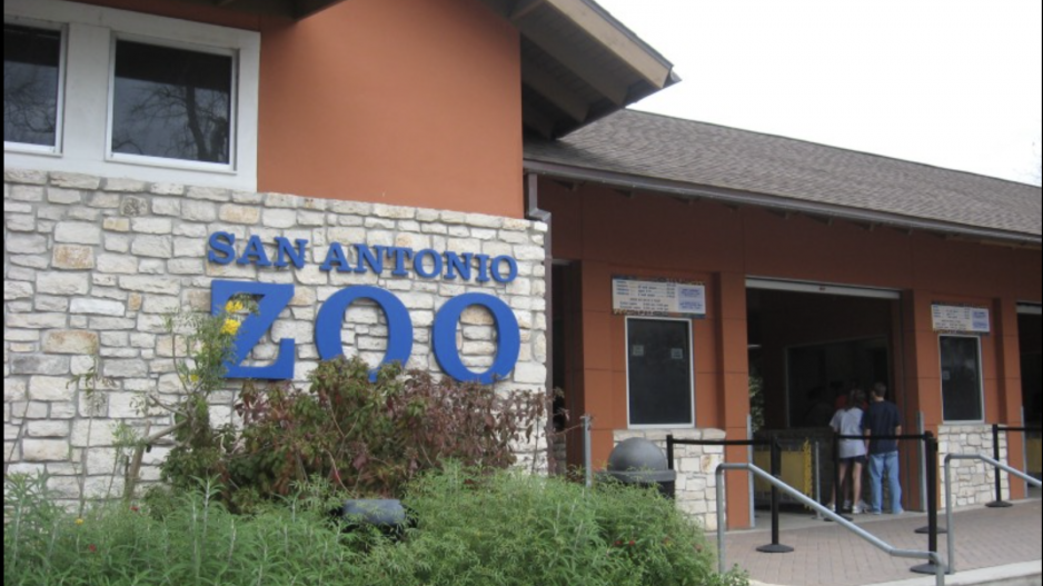 San Antonio Zoo San Antonio Zoo