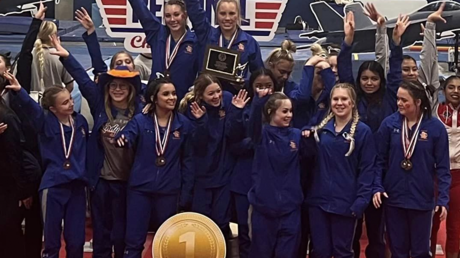 Lady Cats Gymnastics Lady Cats Gymnastics