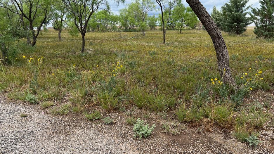 County Says Man’s Half Acre Lot (pictured here) is Valued at $111 Million County Says Man’s Half Acre Lot (pictured here) is Valued at $111 Million