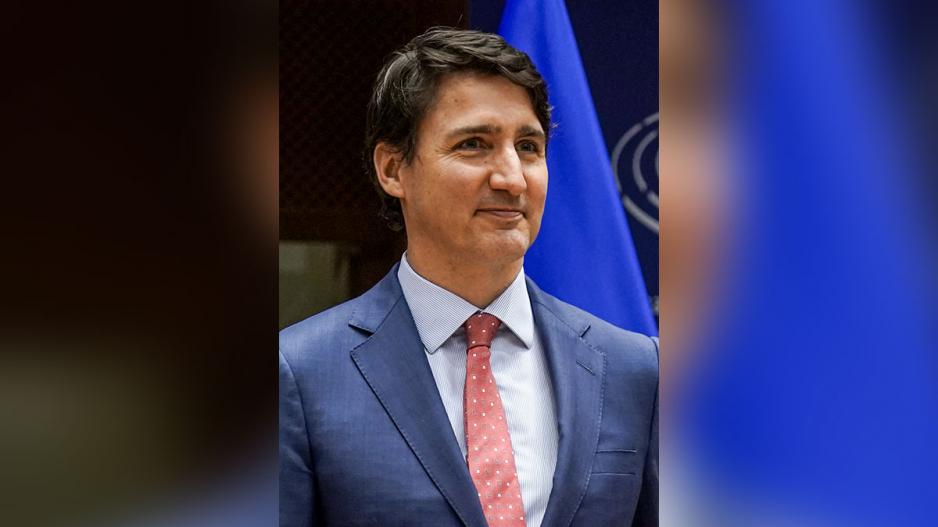 I’d tell them to slip over into Canada and drive around slinging catnip seeds out their car windows, and let Justin Trudeau deal with the problem. I’d tell them to slip over into Canada and drive around slinging catnip seeds out their car windows, and let Justin Trudeau deal with the problem.