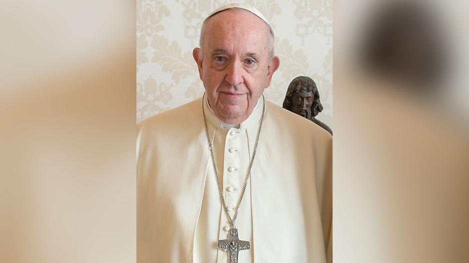 Pope Francis is specifically tired of people who claim to be the parents of pets. You know, people who like to pretend their little fru-fru dogs are actually their children. Pope Francis is specifically tired of people who claim to be the parents of pets. You know, people who like to pretend their little fru-fru dogs are actually their children.